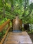Picture of FOREST BRIDGE IV