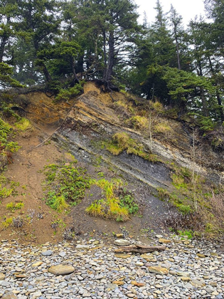 Picture of ERODED COAST I