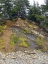 Picture of ERODED COAST I