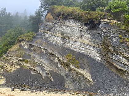 Picture of ERODED COAST II