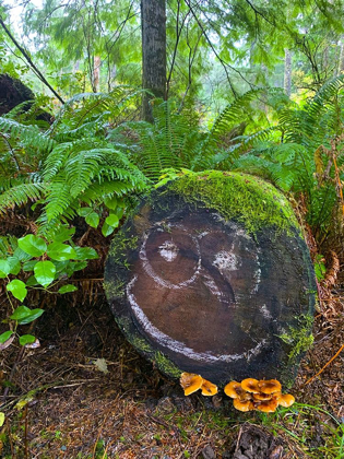 Picture of FOREST HAPPY FACE I