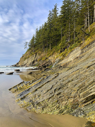 Picture of ERODED COAST V