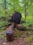 Picture of FOREST HAPPY FACE III