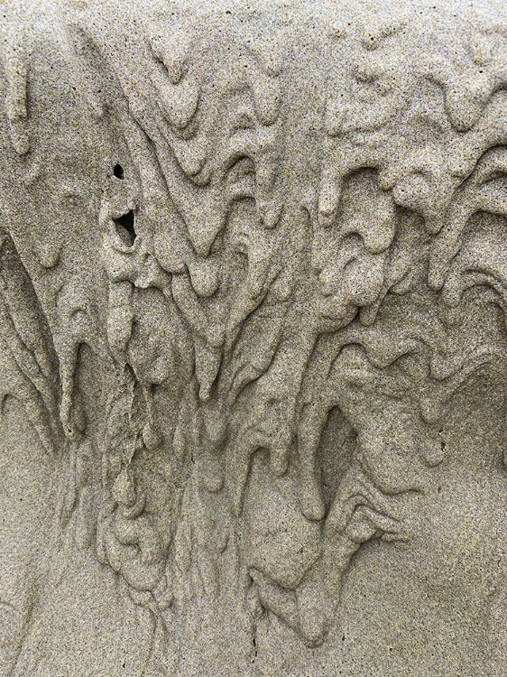 Picture of WET SAND XI
