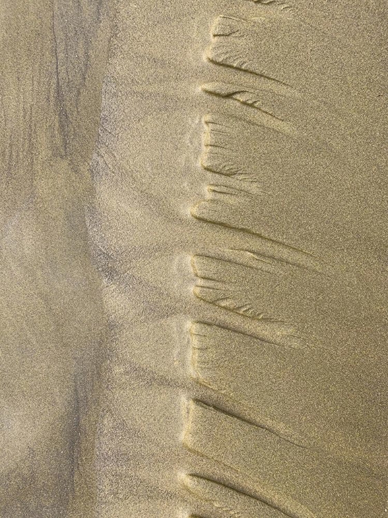 Picture of SAND STRIPE IV