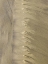 Picture of SAND STRIPE V