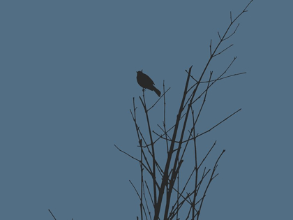 Picture of BIRD SILHOUETTE: BLACK/BLUE