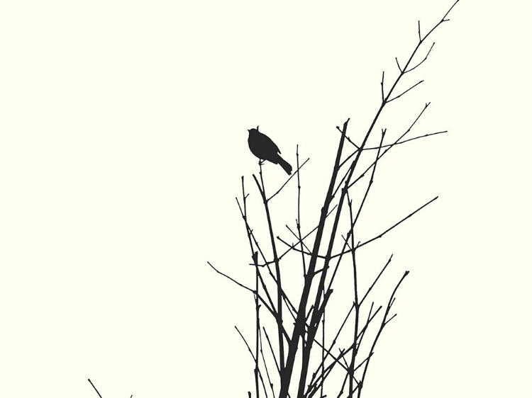 Picture of BIRD SILHOUETTE: BANDW
