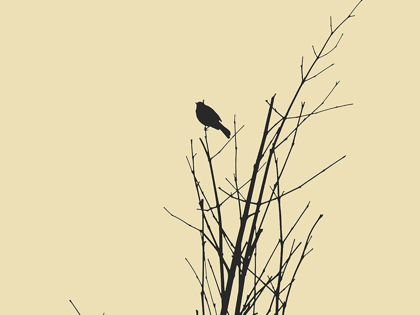 Picture of BIRD SILHOUETTE: BLACK/IVORY