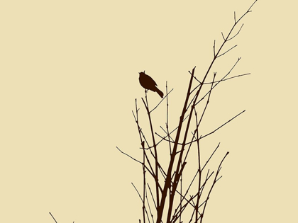 Picture of BIRD SILHOUETTE: BROWN/IVORY