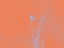 Picture of BIRD SILHOUETTE I