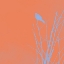 Picture of BIRD SILHOUETTE II