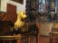 Picture of SAN XAVIER DEL BAC VI