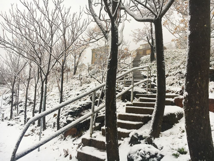 Picture of JEROME SNOWY STAIRS I