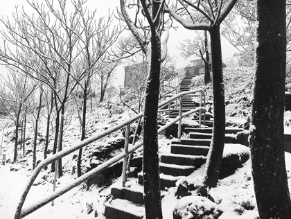 Picture of JEROME SNOWY STAIRS II BANDW