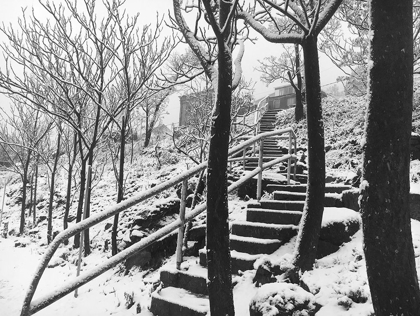 Picture of JEROME SNOWY STAIRS III BANDW