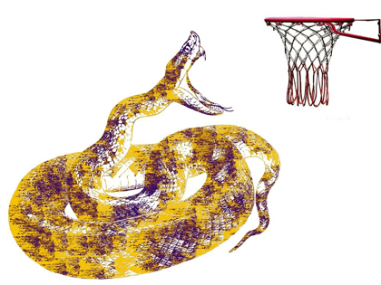 Picture of MAMBA 2