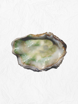 Picture of OYSTER SHELL 2