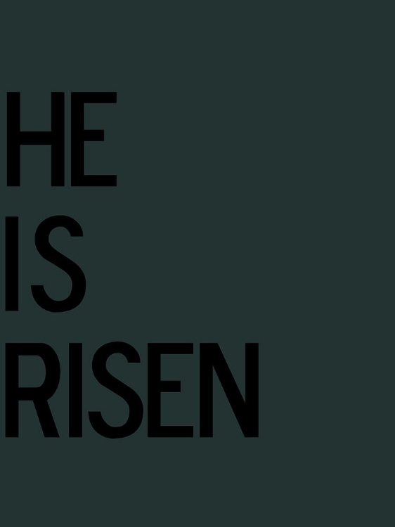 Picture of RISEN