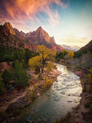 Picture of ZION NATIONAL PARK