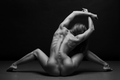 Picture of BODYSCAPE