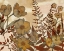 Picture of SIENNA ARRANGEMENT II