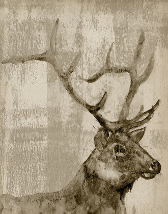 Picture of SEPIA ELK