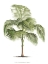Picture of CUSTOM LES PALMIERS ON WHITE I