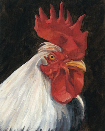 Picture of ROOSTER PORTRAIT I