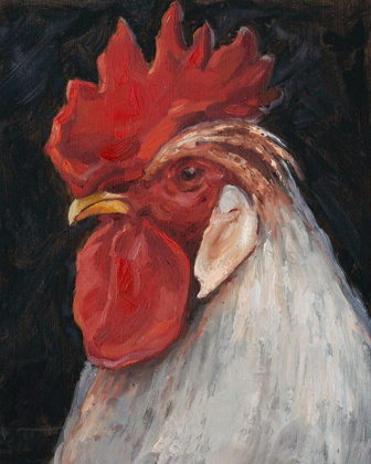 Picture of ROOSTER PORTRAIT II