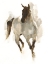 Picture of CUSTOM RUSTIC HORSE I