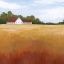 Picture of PRAIRIE PREMISE I