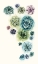 Picture of SUCCULENT CLUSTER I