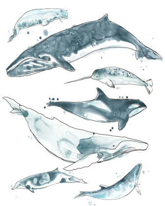 Picture of 3-UP CETACEA I