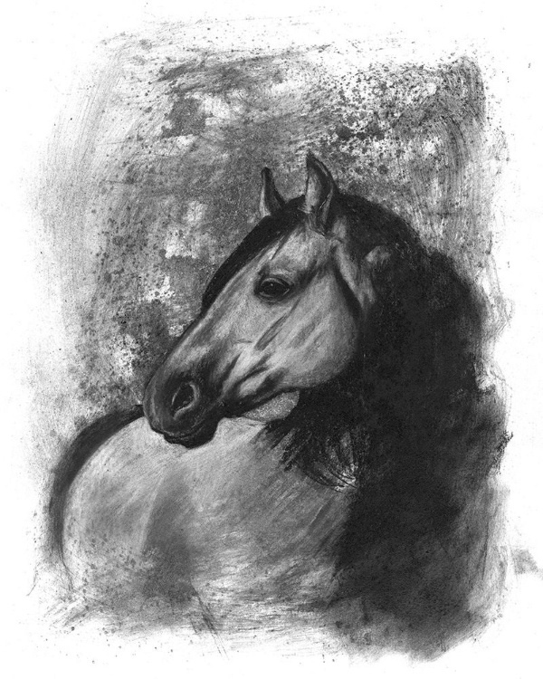 Picture of 3-UP CHARCOAL EQUESTRIAN PORTRAIT IV