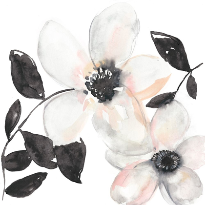 Picture of BLACK AND BLUSH ANEMONE I