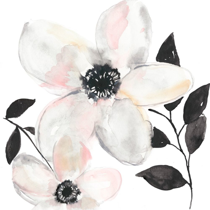 Picture of BLACK AND BLUSH ANEMONE II