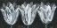 Picture of CUSTOM WHITE TRIO ON BLACK I