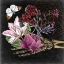 Picture of BONES III