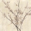 Picture of NEUTRAL BLOSSOMS ON CREAM I