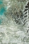 Picture of SALT WATER II