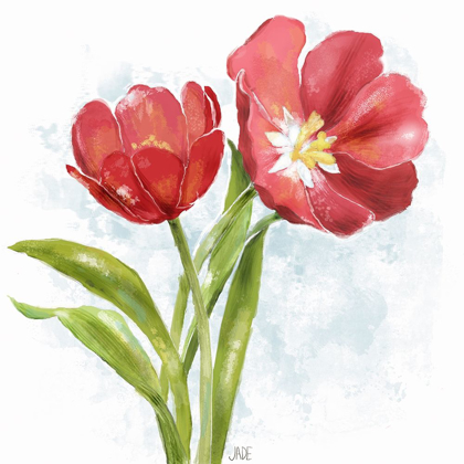 Picture of RED TULIP SPLASH I