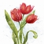 Picture of RED TULIP SPLASH II