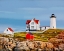 Picture of NUBBLE HOUSE II