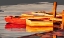 Picture of IN THE GOLDEN LIGHT I