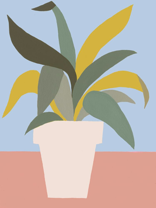 Picture of ORDINARY HOUSEPLANT I