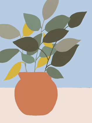 Picture of ORDINARY HOUSEPLANT II