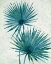 Picture of PALM LEAVES I