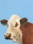 Picture of COW-DON BLEU I