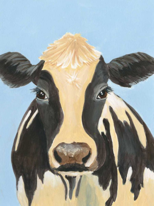 Picture of COW-DON BLEU II